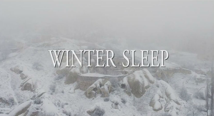 Winter-Sleep